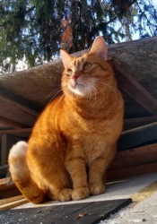 82e3cb76-1db8-494c-b560-7bb7ded0aa04