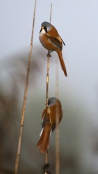 58d75edd-67a7-424b-a186-0148f0788c36