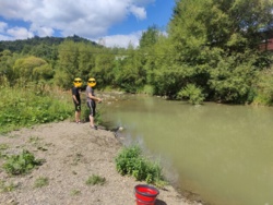 87dee516-a5a2-42ff-b184-3eab26579cca