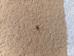 4bf61c3b-050f-4211-b27f-ac5b52a11e1d