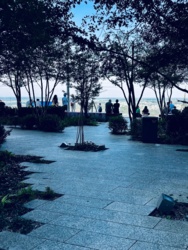 dc140cc9-cfdb-4d21-b95e-c9c15ba02922