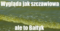 fcda4c08-31ed-4f96-b1ae-2b3d2ff6957b