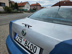 1b9253f1-5ca2-4a64-8d0b-c474cf7838c8