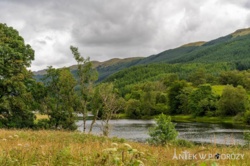 8850a1c1-463b-46bb-bf8e-852acb93cef9