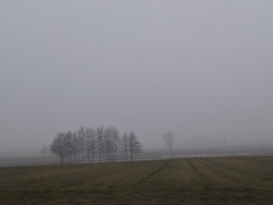 8c6097fa-adad-4840-9af2-2f2ca65687d1