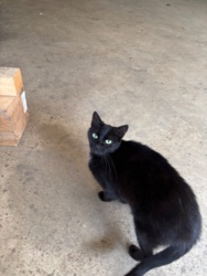 38e143c4-96e4-460e-9b21-3bd047fcc953