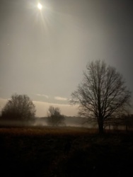 9f782ea3-da89-4ad8-b2c3-4001d6f40efb