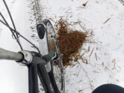 f431d73f-4d9f-4d36-8056-68a81cc080ff