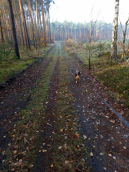 21679f5d-dad4-455c-96e2-3cbb3cf4d6b0