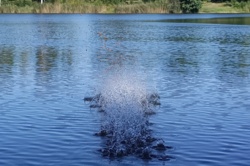 5e23a800-3849-4507-83e1-18251c1c4878