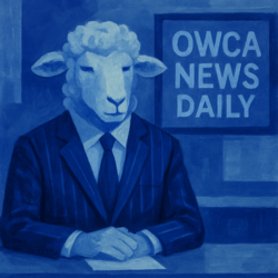 Dzień dobry - nie, jeszcze nie ma 20:00 :stuck_out_tongue: Dziś nieco przedwcześnie z uwagi na inne zobowiązania, z tej strony @bojowonastawionaowca, mamy czwartek 17 lipca 2025 roku, minęła 17:30, to 34. wydanie #hejtonews, zapraszam! Świat:  Wielka Brytania i Niemcy: premier Keir Starmer i