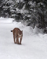 b0e4d01b-d559-4cb5-abab-c3ccc72d4de9