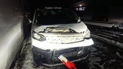 9947d13d-2992-4833-895a-12bda6351cce