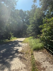 0328ec81-8ecc-45ab-9baa-7e04274ed34a