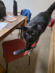 370af72b-2b35-49c6-a63d-e74b7acad59b