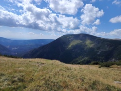 c553c877-1fd6-4f7c-afe7-27cce34116cf