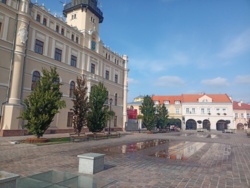 ce5560f3-897b-44f1-88c2-53eeaaedb375