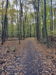 2a16c1ff-0001-40a4-8d22-be5fda9c3181