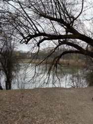 cbaa366e-ac35-4fca-b67c-2a0ca8529b58