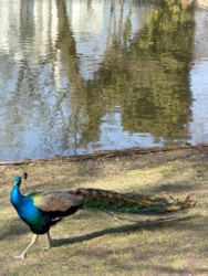 b87e8e3a-12ba-4ba1-a010-9fed8bddc50c