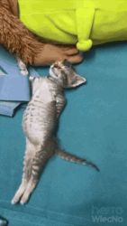 b5e667a9-2f42-482b-ab88-eaf35580754e