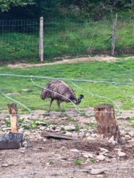 19414a56-24d3-41c5-b641-c2b799625103