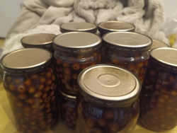 ba7d3d9e-1852-4e5e-bf3a-b98f2f810f92