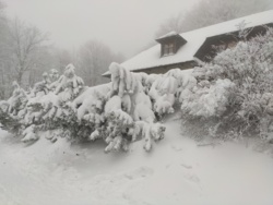 0f194496-07be-4071-b825-062cb6fb5f14