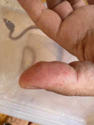 bdad6ed6-0ed7-4fb8-9c7a-bc38c6ef74c2