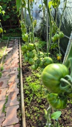 23cbaa95-3074-4b77-8343-45e9dc58a7f1