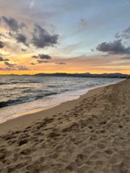 bcd768a3-50d2-4807-92cb-ac2b2c849d73