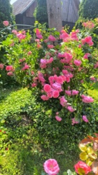 3fc30edf-145d-4692-8693-2fa5f95feaad