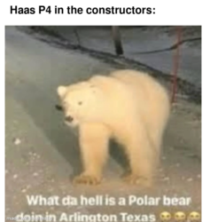 851c5fbf-a4ae-4239-903f-5b94dad34c2c