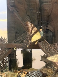 062d4896-175f-4020-ba1e-b2bd68a4d868