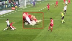 Gdzie Legia nie może... Błąd sędziowski umożliwił Legii zwycięstwo z Widzewem