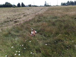 1c1a00f0-01a2-489b-8296-a868e701bcba