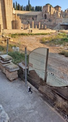 e7ce98ba-e869-4d26-bfcf-1dcf8a6fed06