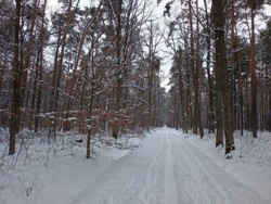 785e403e-b7bf-4166-87a0-40b1c79c341a