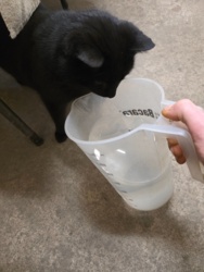 650a1f84-03f2-43be-bc20-d83c426d6a3d