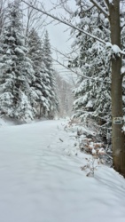 3a7c26d1-3dfd-49d3-8839-a709222f4421