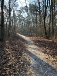 bf38af56-1431-4c7d-a72f-d67941c58d31