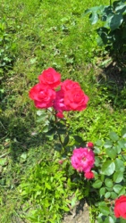 7128fb70-530c-4903-843e-093eca3dce44