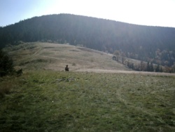 3e86651b-394c-4fdb-894f-83c5f089bf83