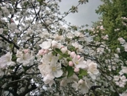 96445beb-ac13-4c30-8e5b-d70b14b49d20