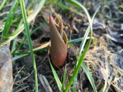 10257efa-8219-4a34-b57b-89b1da74f311