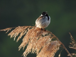 06ebe6b4-90cf-4adc-8666-788cc7a7dcff