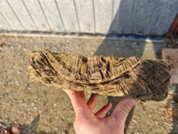 9cf9540e-0670-4804-9d8c-4b6d76e5cbb5