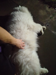 14c24553-b20d-4fa3-a8ce-8a4aa51c0ed0