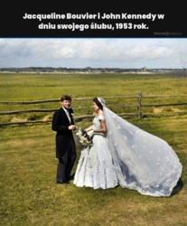 d5b975ed-2e37-4202-8b26-e9a77fe5d02f