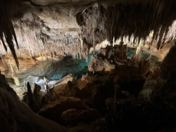 e5a544d5-b5f4-42af-b82e-e4eefd324c8c